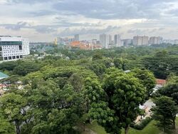 Blk 218 Ang Mo Kio Avenue 1 (Ang Mo Kio), HDB 3 Rooms #625407731